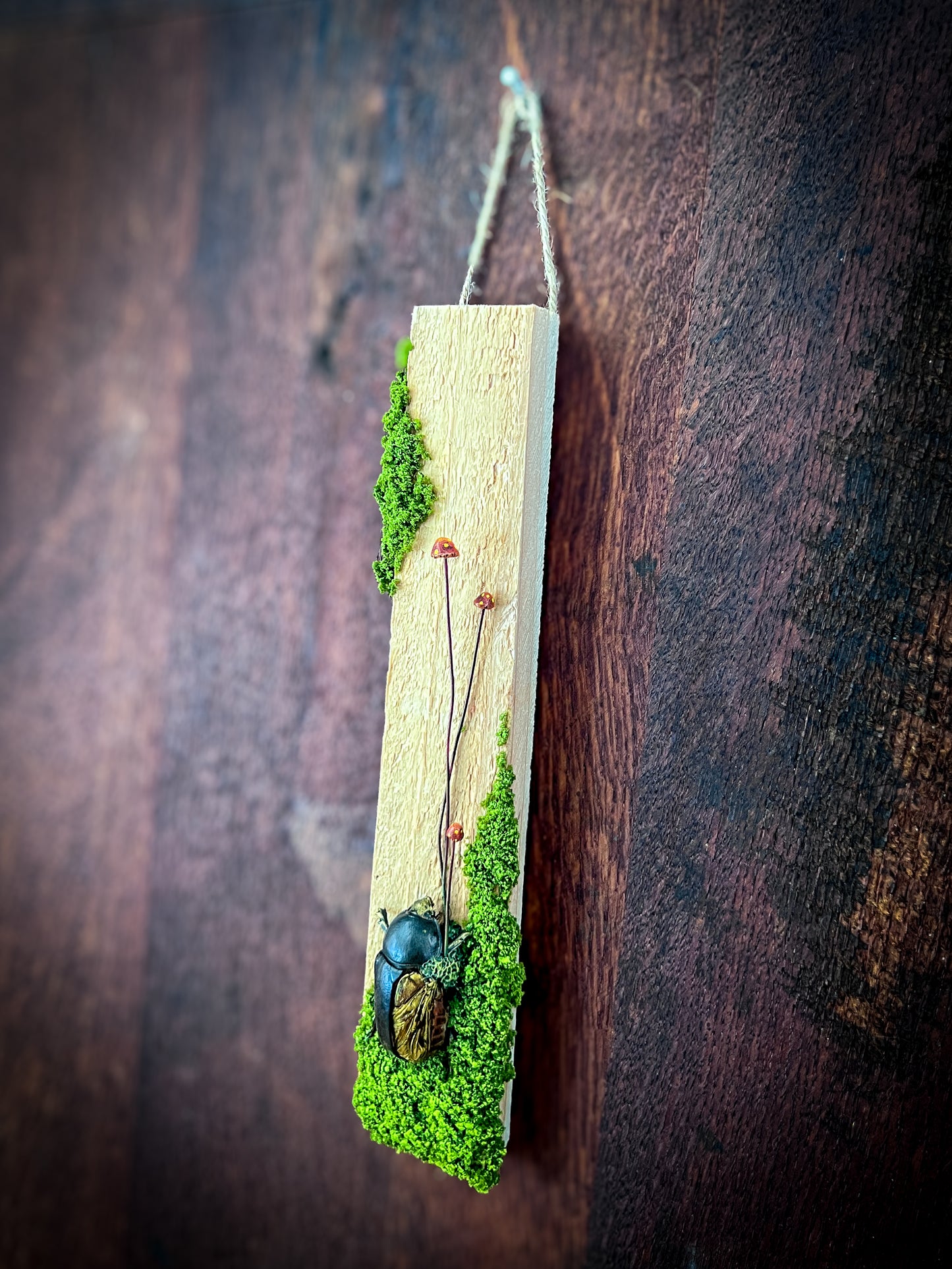 Spores & Remains No. 2 – Garden Beetle Mixed Media Wall Art