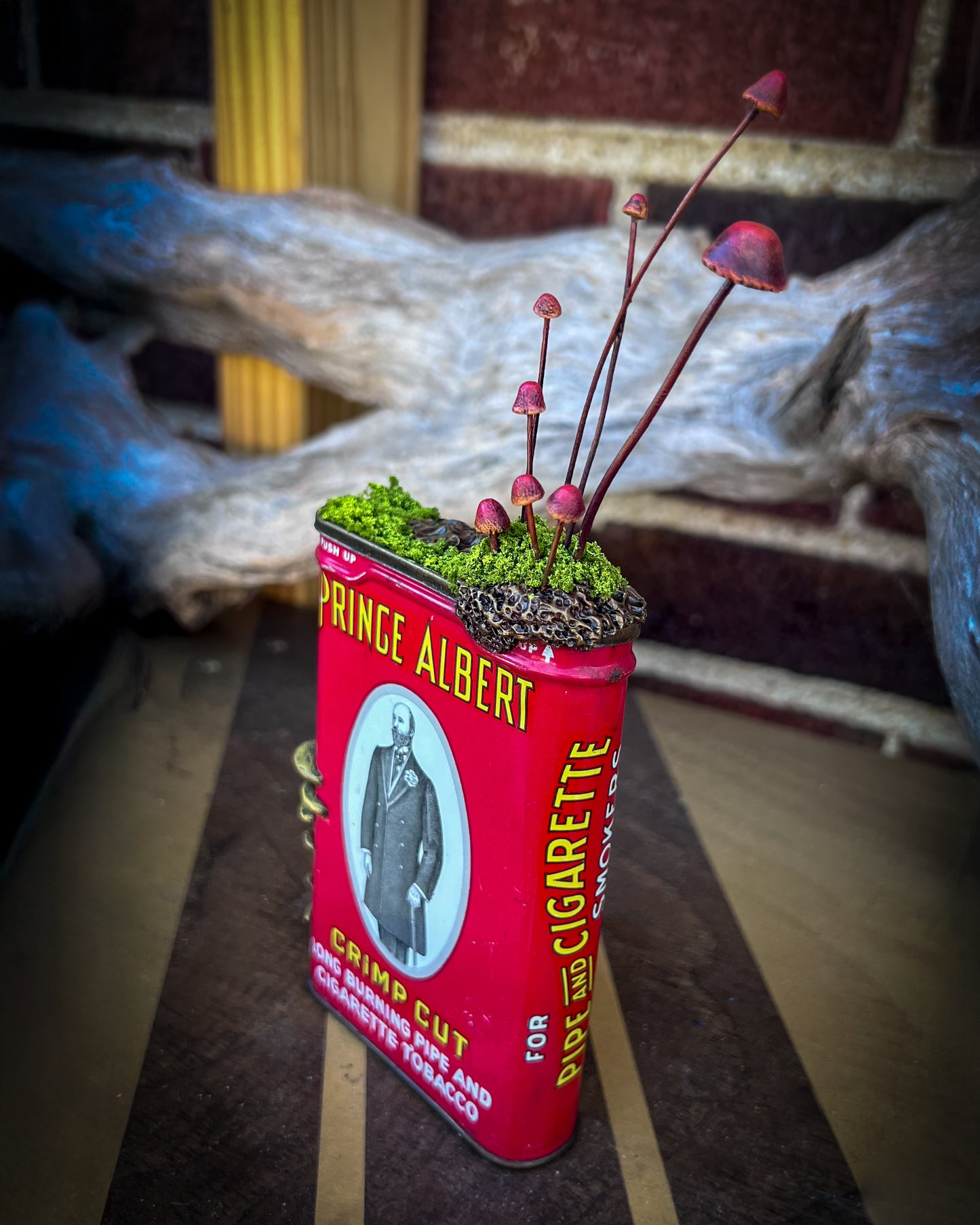 “Prince Albert Relic” – Found Object Sculpture with Moss & Handmade Mushrooms