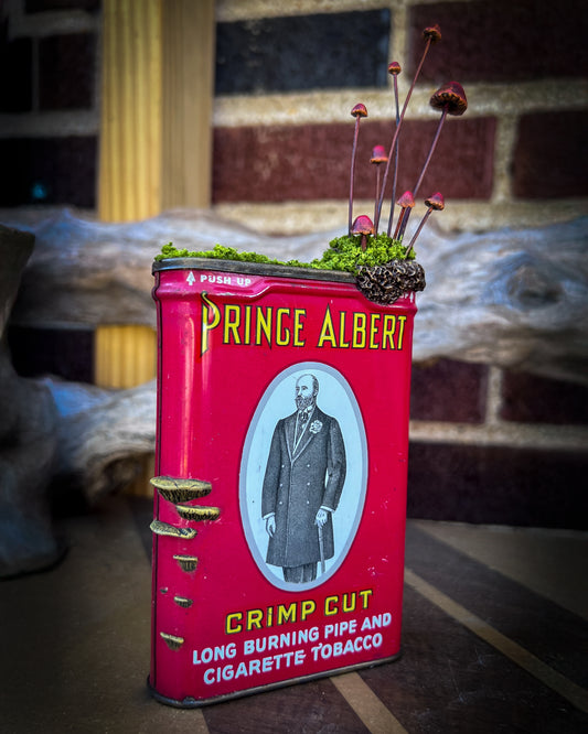 “Prince Albert Relic” – Found Object Sculpture with Moss & Handmade Mushrooms