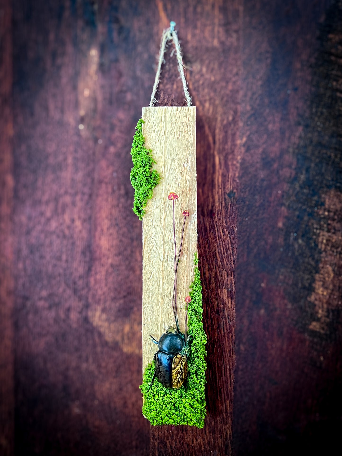 Spores & Remains No. 2 – Garden Beetle Mixed Media Wall Art