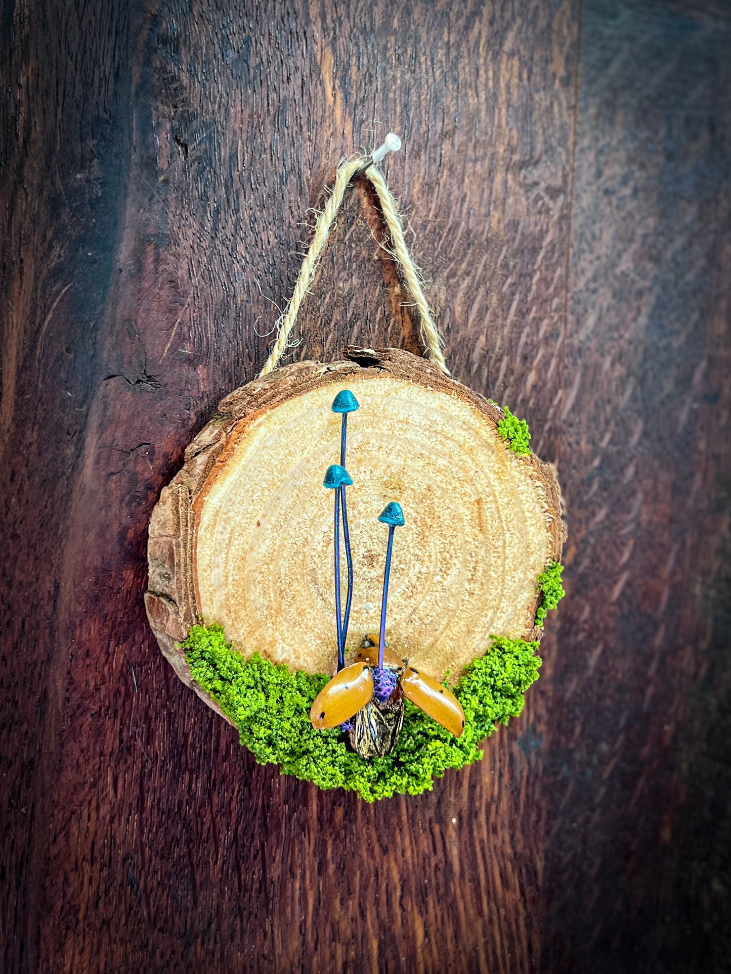 Spores & Remains No. 1 – Grape Beetle Mixed Media Wall Art