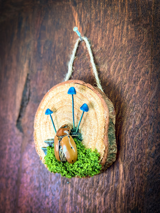 Spores & Remains No. 4 – Bronze Beetle Mixed Media Wall Art