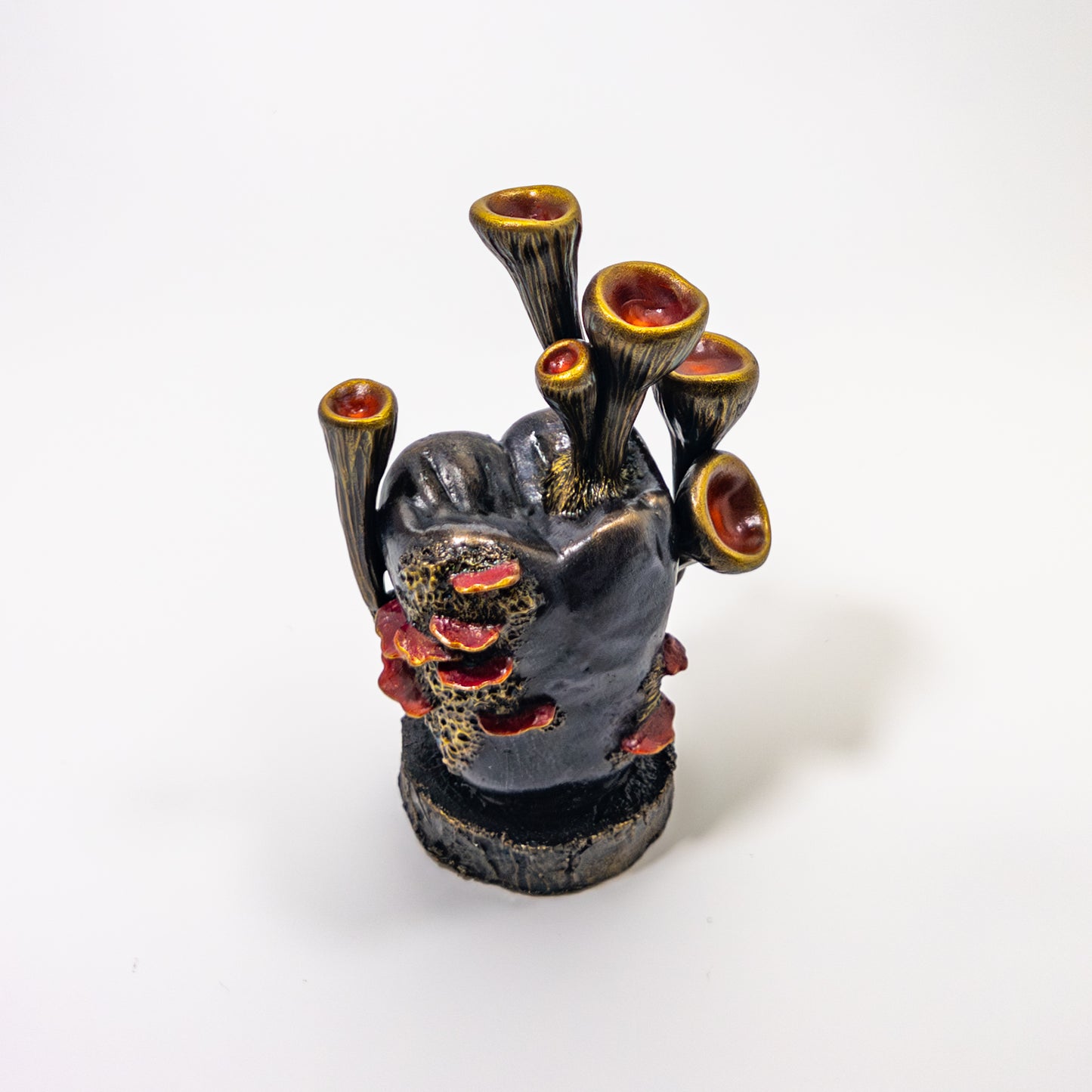 Red coral-style fungi growing from a dental model tooth displayed under a glass dome.